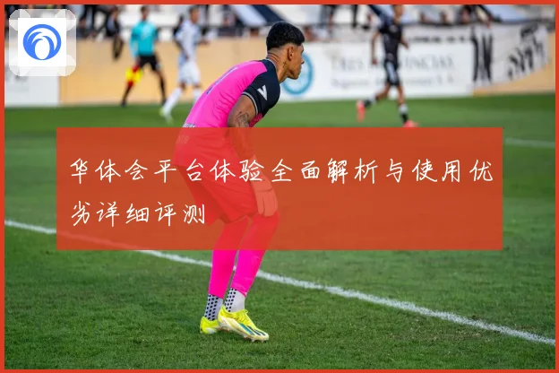 华体会平台体验全面解析与使用优劣详细评测