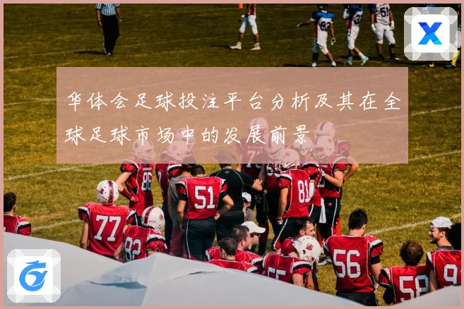华体会足球投注平台分析及其在全球足球市场中的发展前景