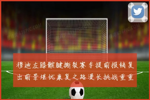 穆迪左膝髌腱撕裂赛季提前报销复出前景堪忧康复之路漫长挑战重重