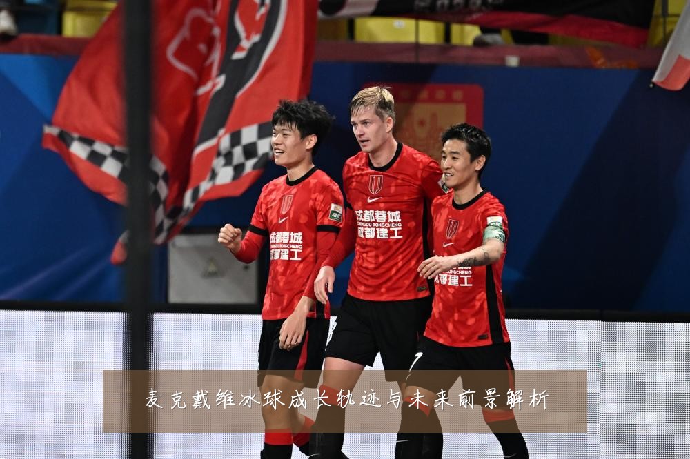麦克戴维冰球成长轨迹与未来前景解析